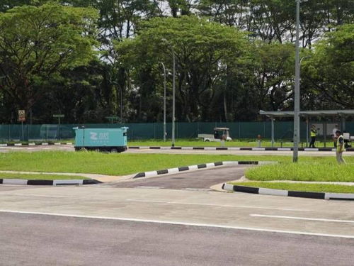 九識(shí)智能獲新加坡首張無人物流車上路牌照，開啟自動(dòng)駕駛出海新范式